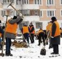 Свободу работодателю? Свободу работодателю?